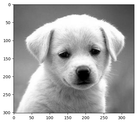 _images/f51c12121e9888c247ebc994bca0dc4369993c78a9048b851207a8e409a92245.png